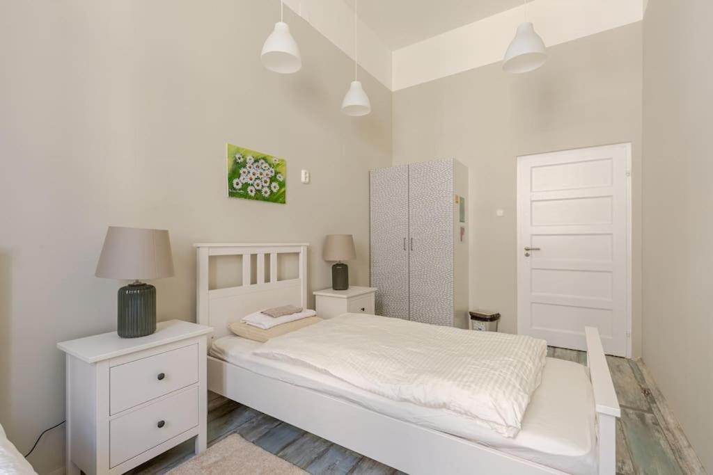 Spacious For Group In Centre Apartmán Budapešť