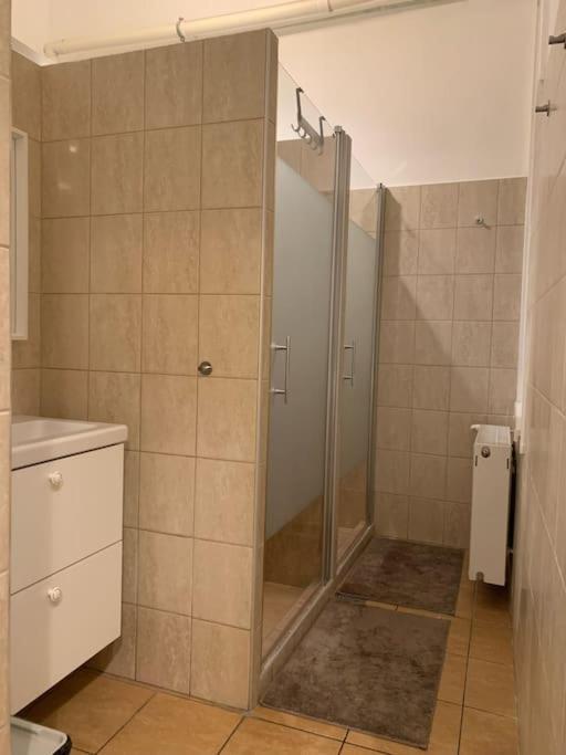 Apartmán Spacious For Group In Centre Budapešť