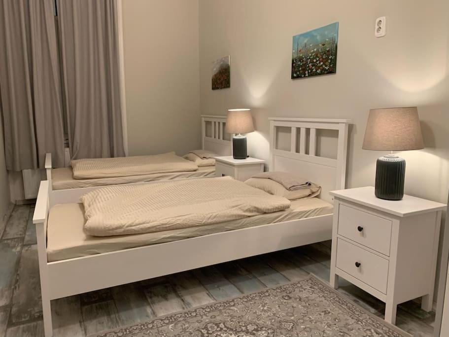 Spacious For Group In Centre Apartmán