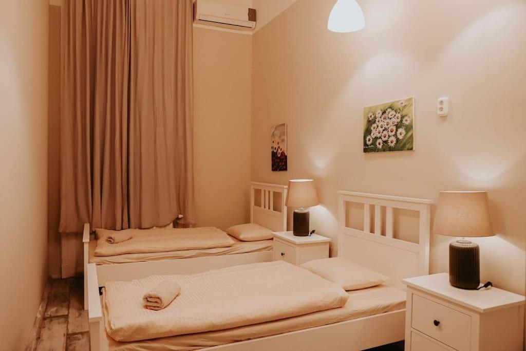 Spacious For Group In Centre Apartmán Budapešť