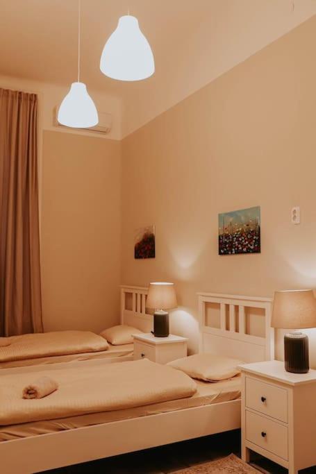 Apartmán Spacious For Group In Centre Budapešť
